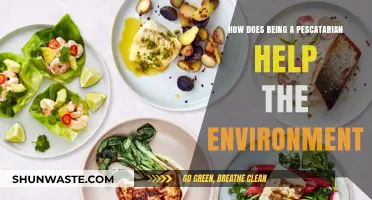 Pescatarian Diet: Sustainable Choice for a Healthier Planet and You