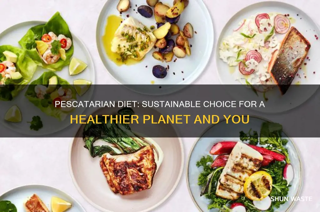 how does being a pescatarian help the environment