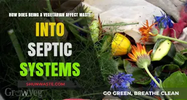 Vegetarian Diets and Septic Systems: Impact on Waste Management