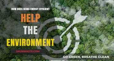 Energy Efficiency: A Powerful Tool to Protect Our Environment