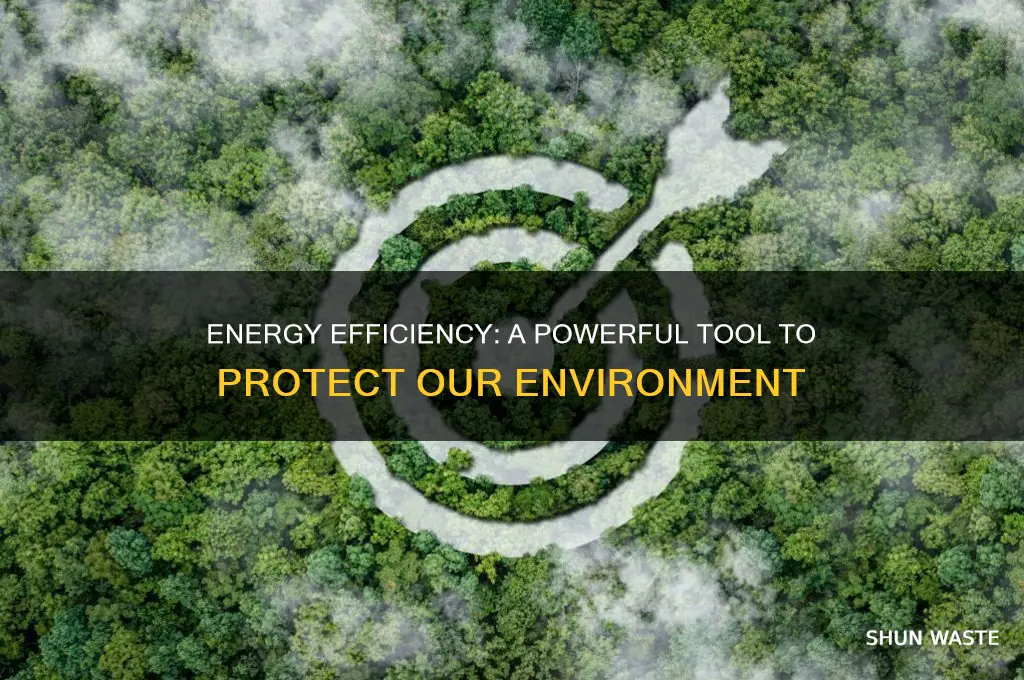 how does being energy efficient help the environment