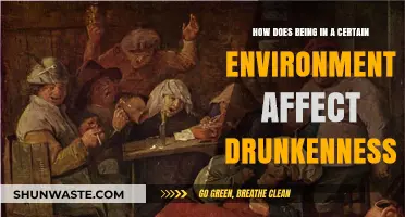 Environment's Role: How Surroundings Influence Drunkenness and Intoxication Levels