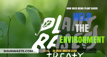 Plant-Based Living: A Sustainable Choice for a Greener Planet