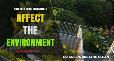 Sustainable Living: Transforming Our Environment Through Eco-Friendly Choices