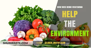 Vegetarianism's Green Impact: How Plant-Based Diets Save Our Planet