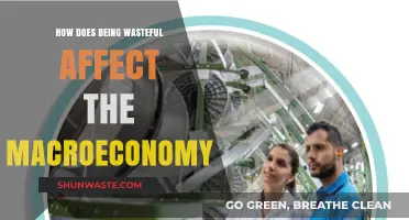 Wasteful Habits: Macroeconomic Impacts and Sustainable Solutions for Growth