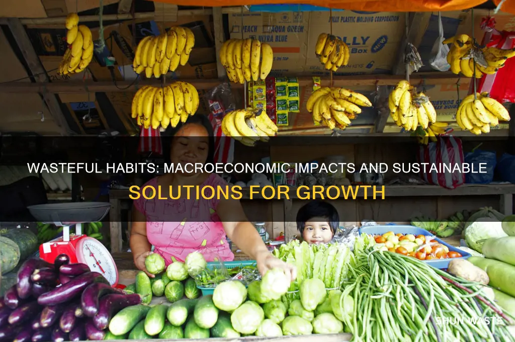 how does being wasteful affect the macroeconomy