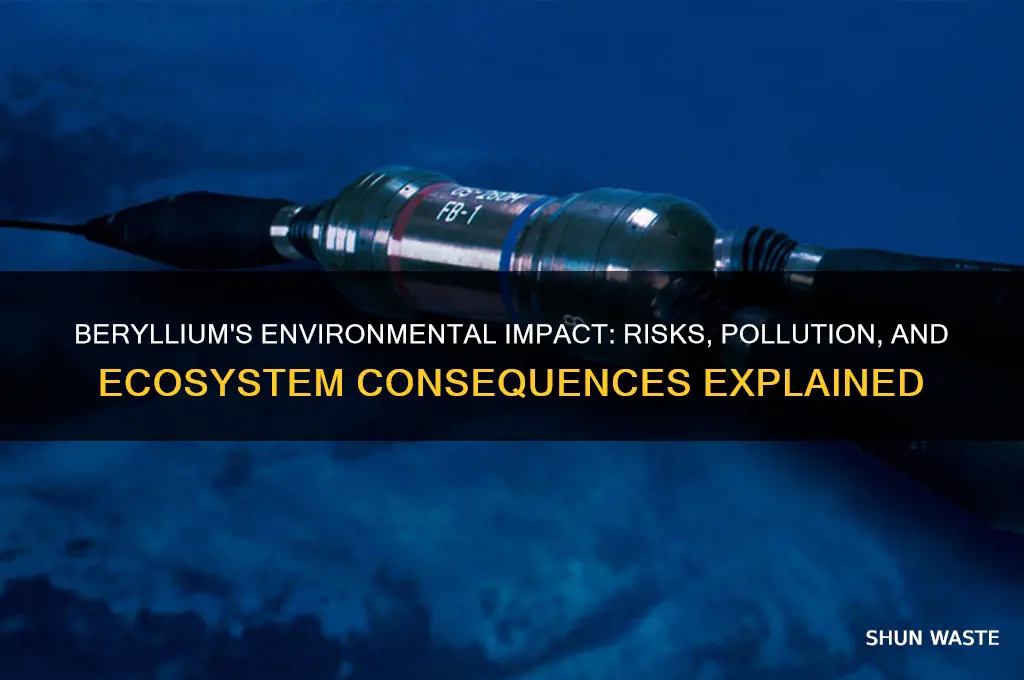 how does beryllium affect the environment