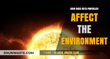 Beta Particles' Environmental Impact: Effects, Risks, and Ecological Consequences
