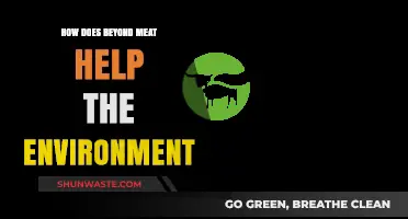 Beyond Meat's Environmental Impact: Sustainable Protein for a Greener Planet
