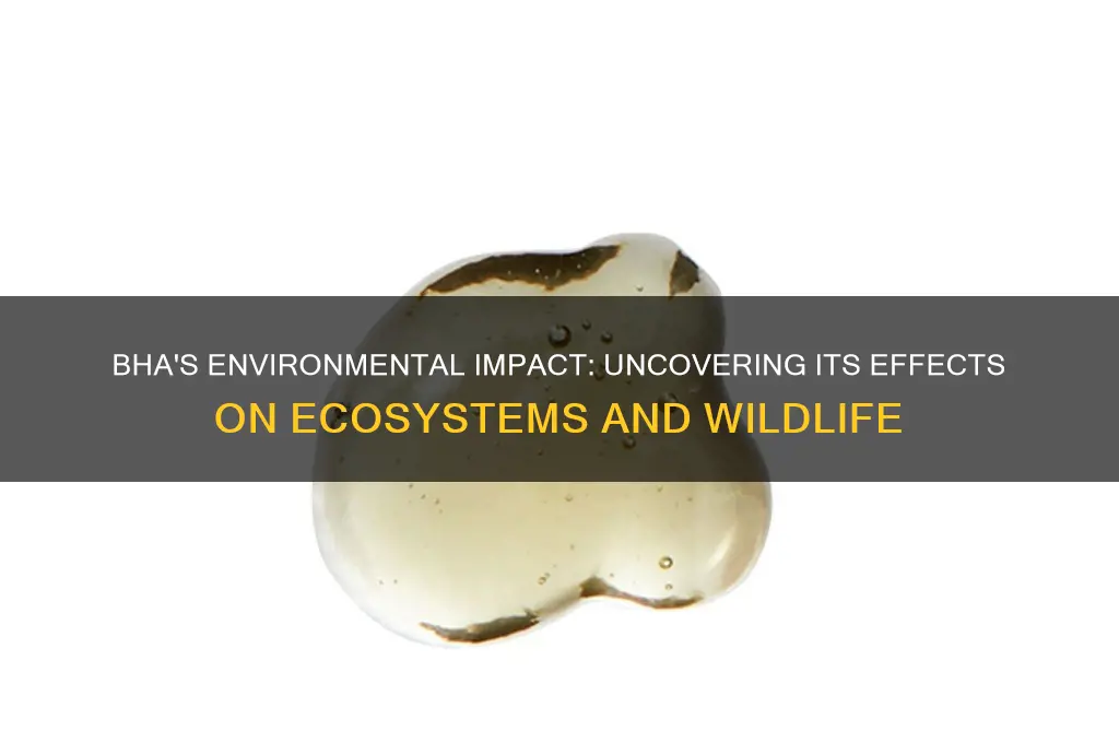 how does bha affect the environment