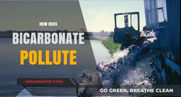 Bicarbonate's Pollution: A Hidden Environmental Threat