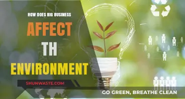 Corporate Giants and Their Environmental Impact: A Critical Analysis