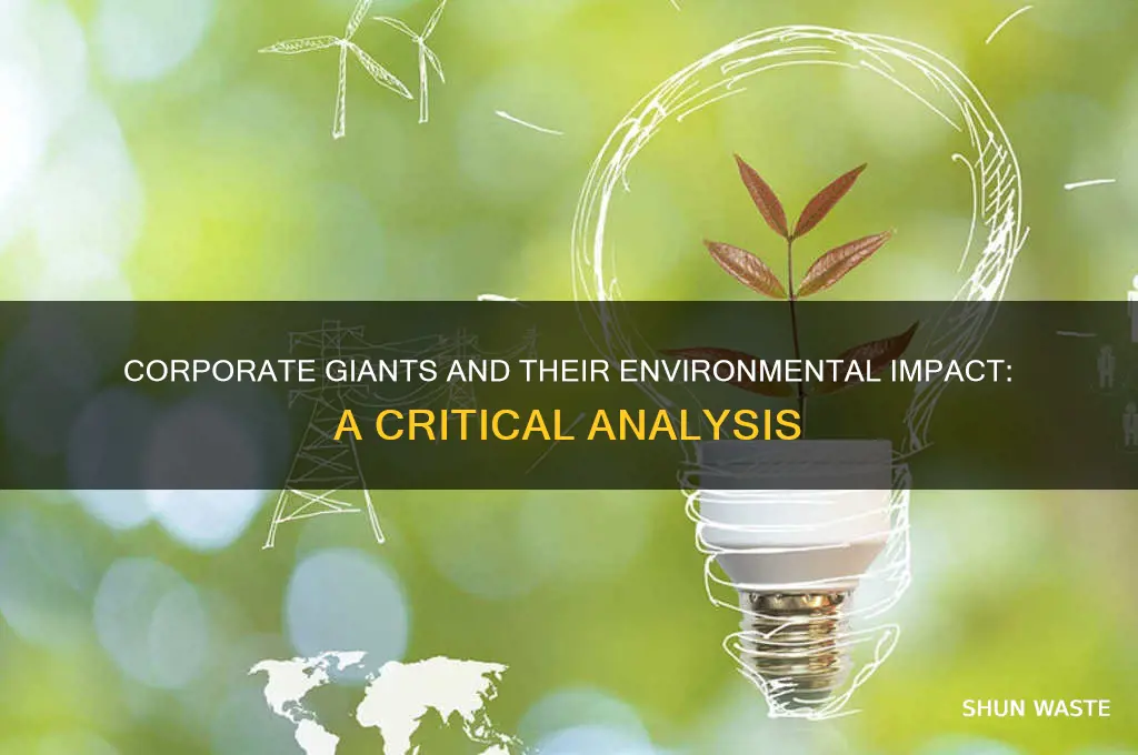 how does big business affect th environment