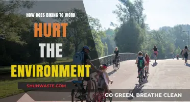 Biking to Work: Unexpected Environmental Impacts and Sustainable Solutions