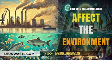 Bioaccumulation's Impact: How Toxins Threaten Ecosystems and Wildlife Health