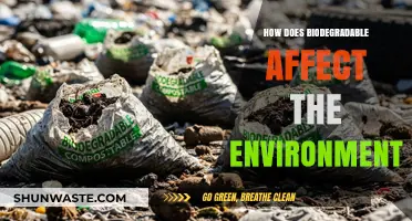 Biodegradable Products: Environmental Impact and Sustainable Living Benefits