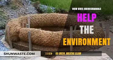 Biodegradable Products: Eco-Friendly Solutions for a Sustainable Environment