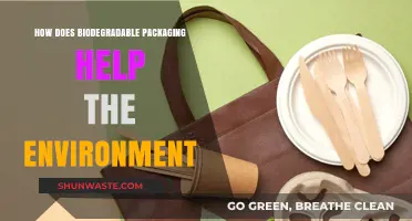 Eco-Friendly Solutions: Biodegradable Packaging's Impact on Environmental Sustainability