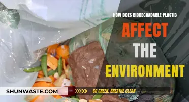 Biodegradable Plastics: Environmental Impact and Sustainable Solutions Explored