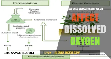 Biodegradable Waste's Impact on Dissolved Oxygen Levels Explained