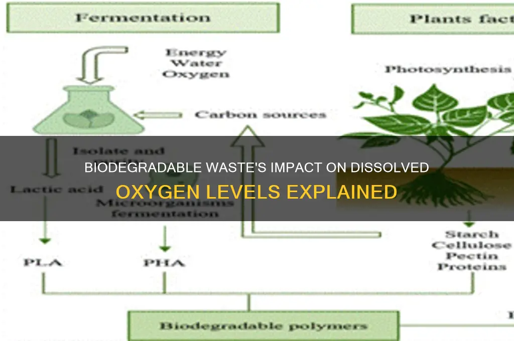 how does biodegradable waste affect dissolved oxygen