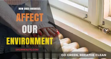 Biodiesel's Environmental Impact: Benefits, Challenges, and Sustainability Explored