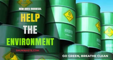 Biodiesel's Green Impact: Reducing Emissions and Promoting Sustainability