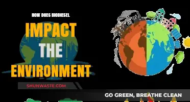 Biodiesel's Environmental Impact: Benefits, Challenges, and Sustainable Solutions