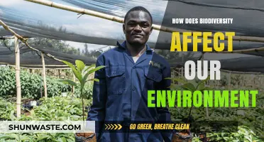 Biodiversity's Impact: Shaping Ecosystems, Climate, and Human Well-Being