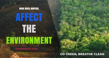 Biofuel's Environmental Impact: Benefits, Drawbacks, and Sustainability Insights