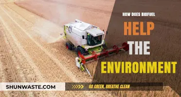 Biofuel's Green Impact: Reducing Emissions and Promoting Sustainability
