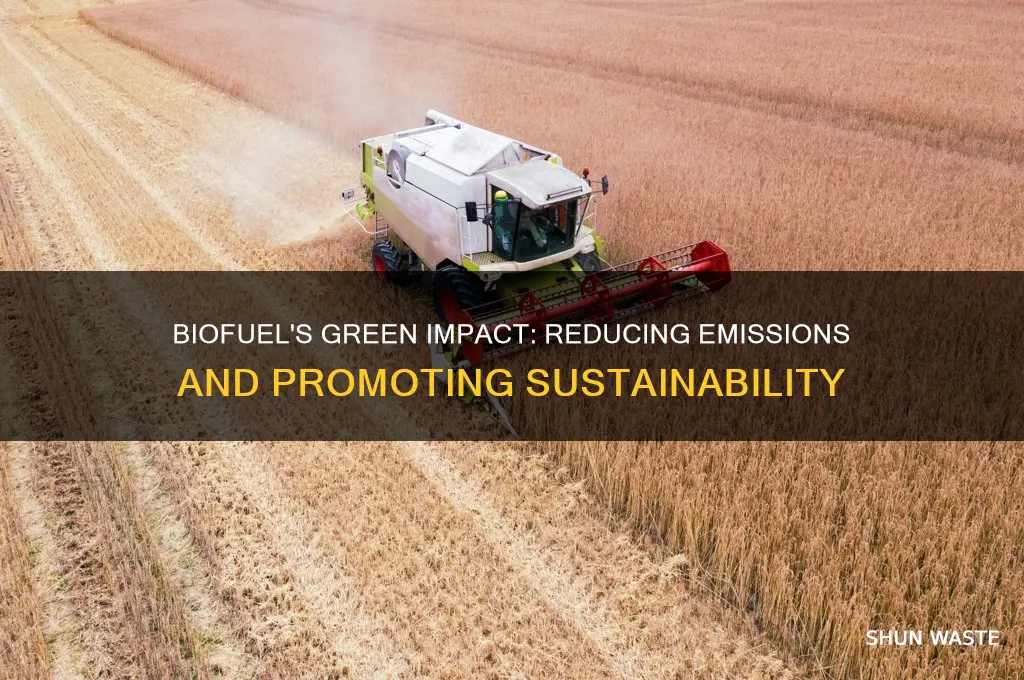 how does biofuel help the environment