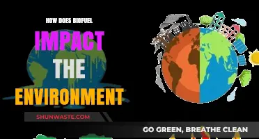 Biofuel's Environmental Impact: Benefits, Challenges, and Sustainability Explained
