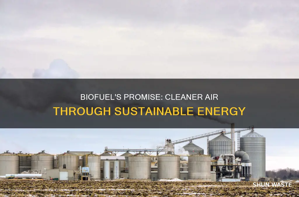 how does biofuel reduce air pollution