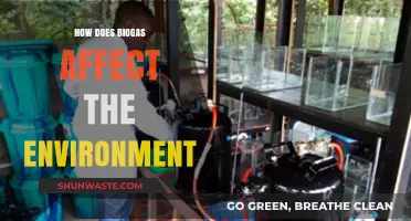 Biogas Impact: Environmental Benefits and Challenges Explained
