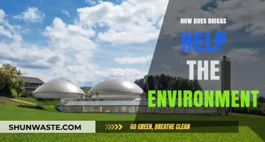 Biogas: A Sustainable Solution for Reducing Emissions and Waste