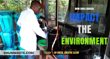 Biogas: A Sustainable Solution for Reducing Environmental Impact
