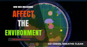Bioleaching's Environmental Impact: Benefits, Risks, and Sustainability Explained