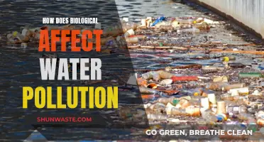 Biological Factors: Impacting Water Pollution Severity