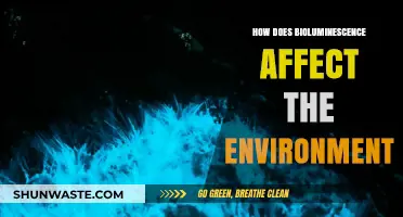 Bioluminescence's Environmental Impact: Illuminating Ecosystems and Ecological Balance