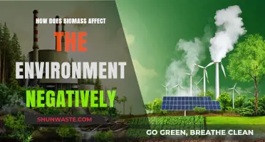 Biomass Energy's Dark Side: Environmental Impacts and Sustainability Concerns