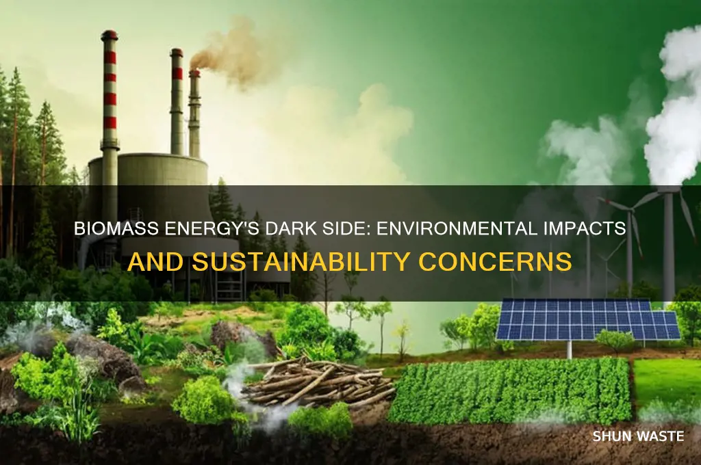 how does biomass affect the environment negatively