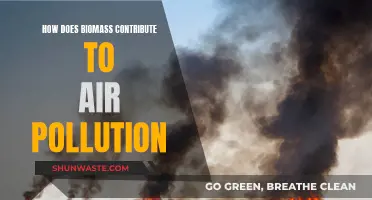 Biomass Burning: Air Pollution and Its Hazards