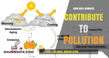 Biomass Energy: Pollution and Climate Change