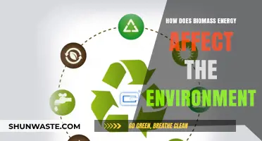 Biomass Energy's Environmental Impact: Benefits, Challenges, and Sustainability