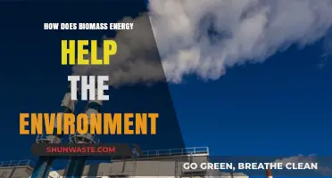 Biomass Energy: A Sustainable Solution for Environmental Conservation