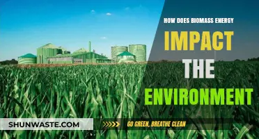 Biomass Energy's Environmental Impact: Benefits, Challenges, and Sustainability
