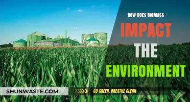 Biomass Energy: Environmental Impacts, Sustainability, and Future Implications