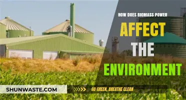 Biomass Power's Environmental Impact: Benefits, Challenges, and Sustainability